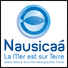 Formation à Nausicaá