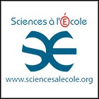 Opération "Experts à l'école"